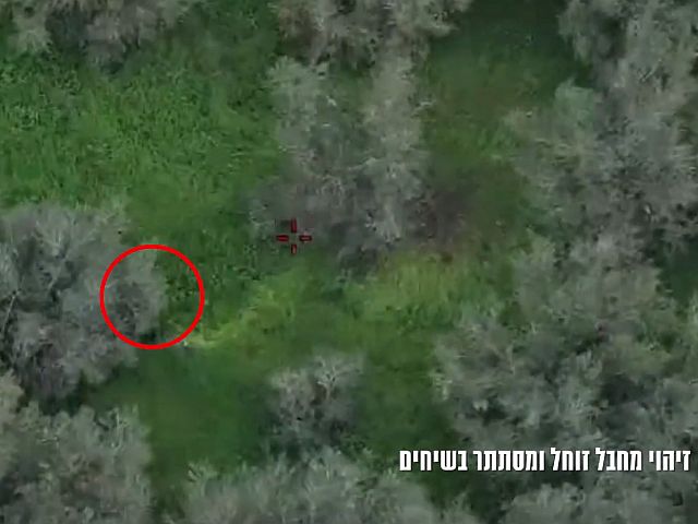 Кусты не спасли: ВВС Израиля ликвидировали группу боевиков «Хизбаллы» в Ливане. Видео